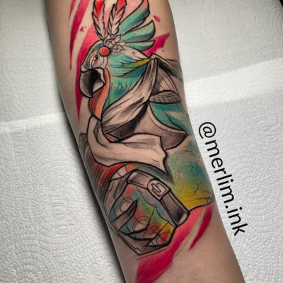 Tatuagem Kass - Zelda Breath of the Wild